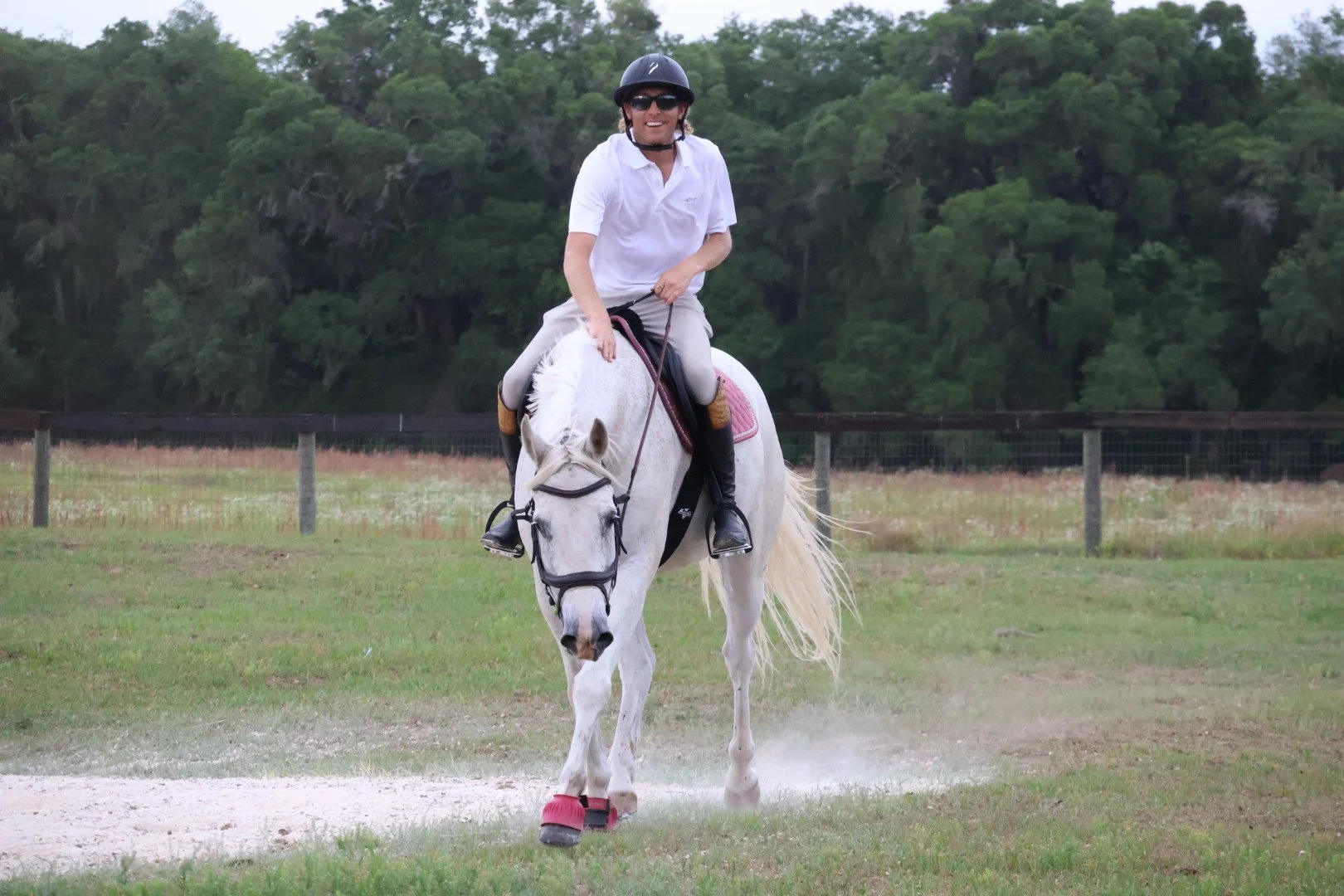 Sales Horse Package (1 Horse)