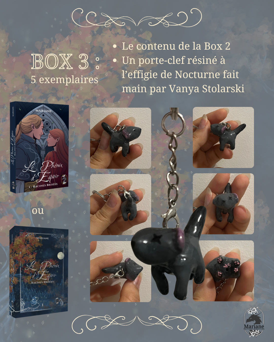 Box 3 (limitée à 5 exemplaires)