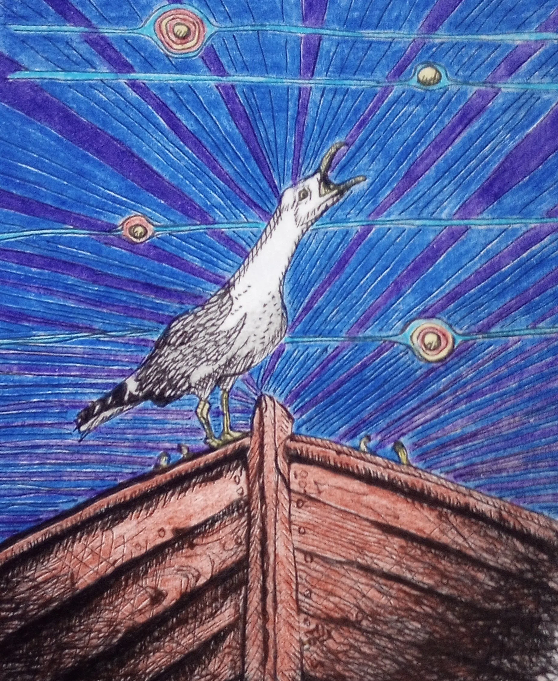seagullboat.jpg