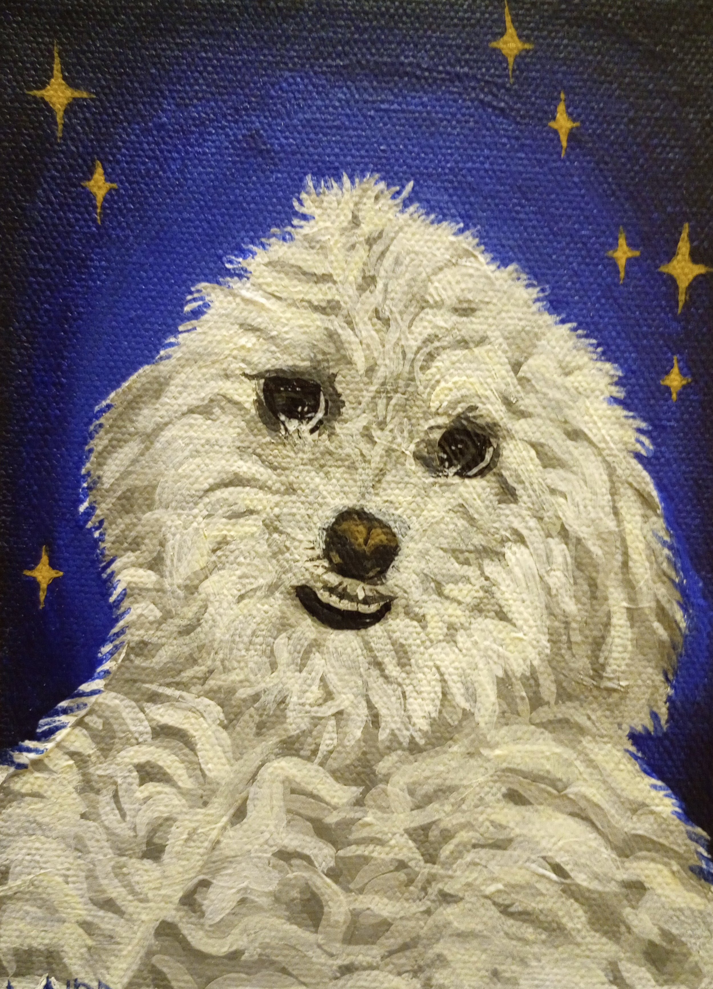 bliss white dog.jpg