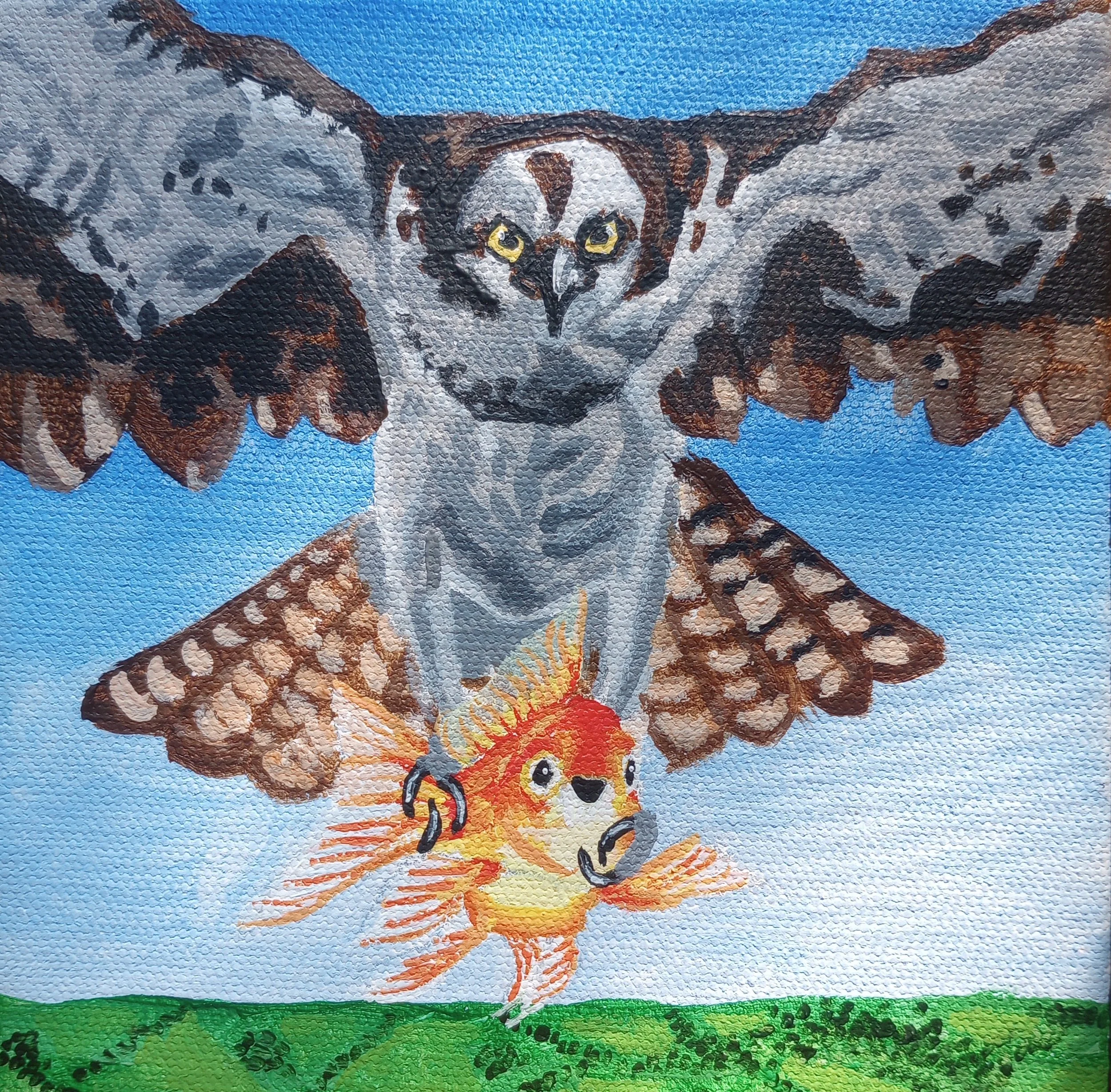 hawk and goldfish.jpg