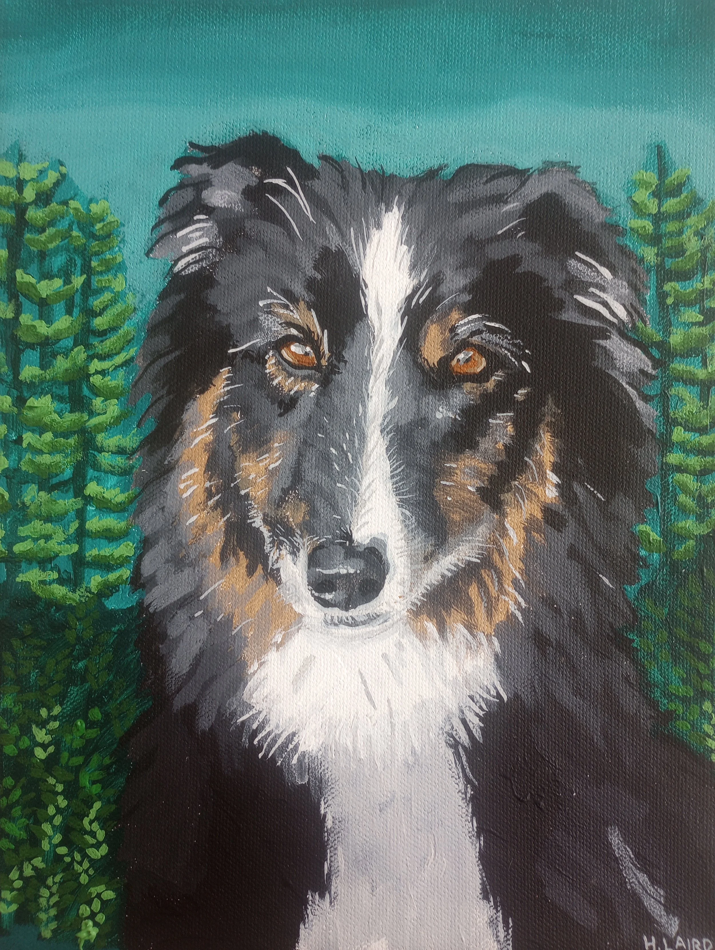Pet Portraits