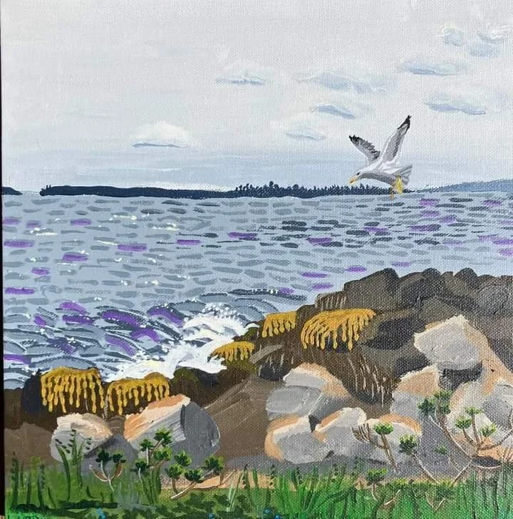 seagull marshall point.jpg