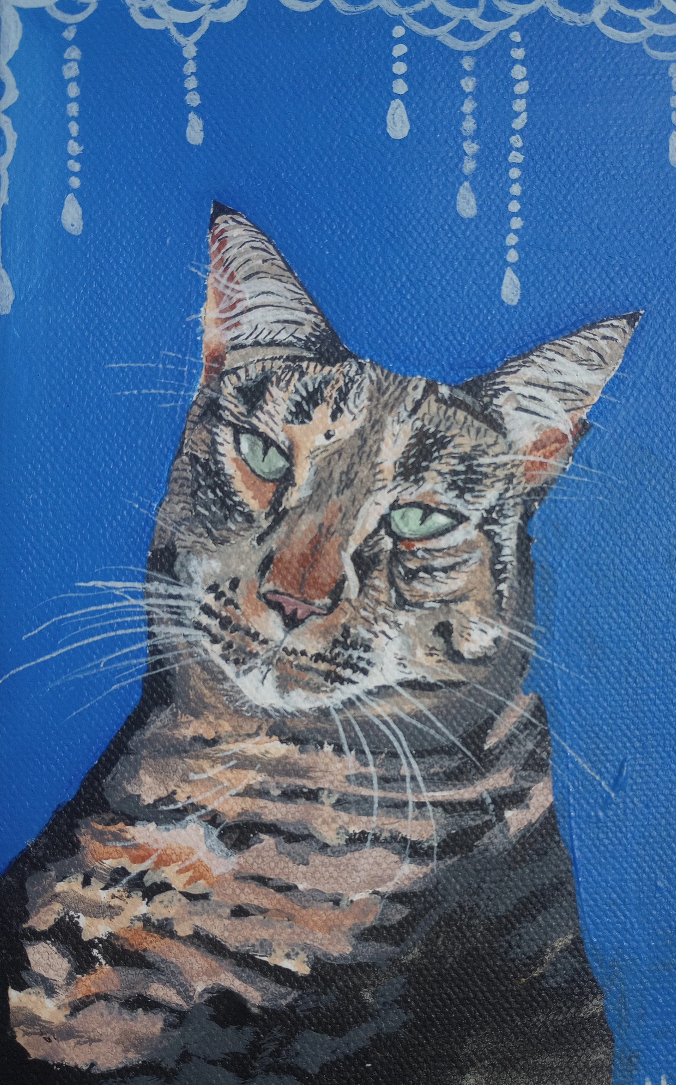 tabbykitty.jpg
