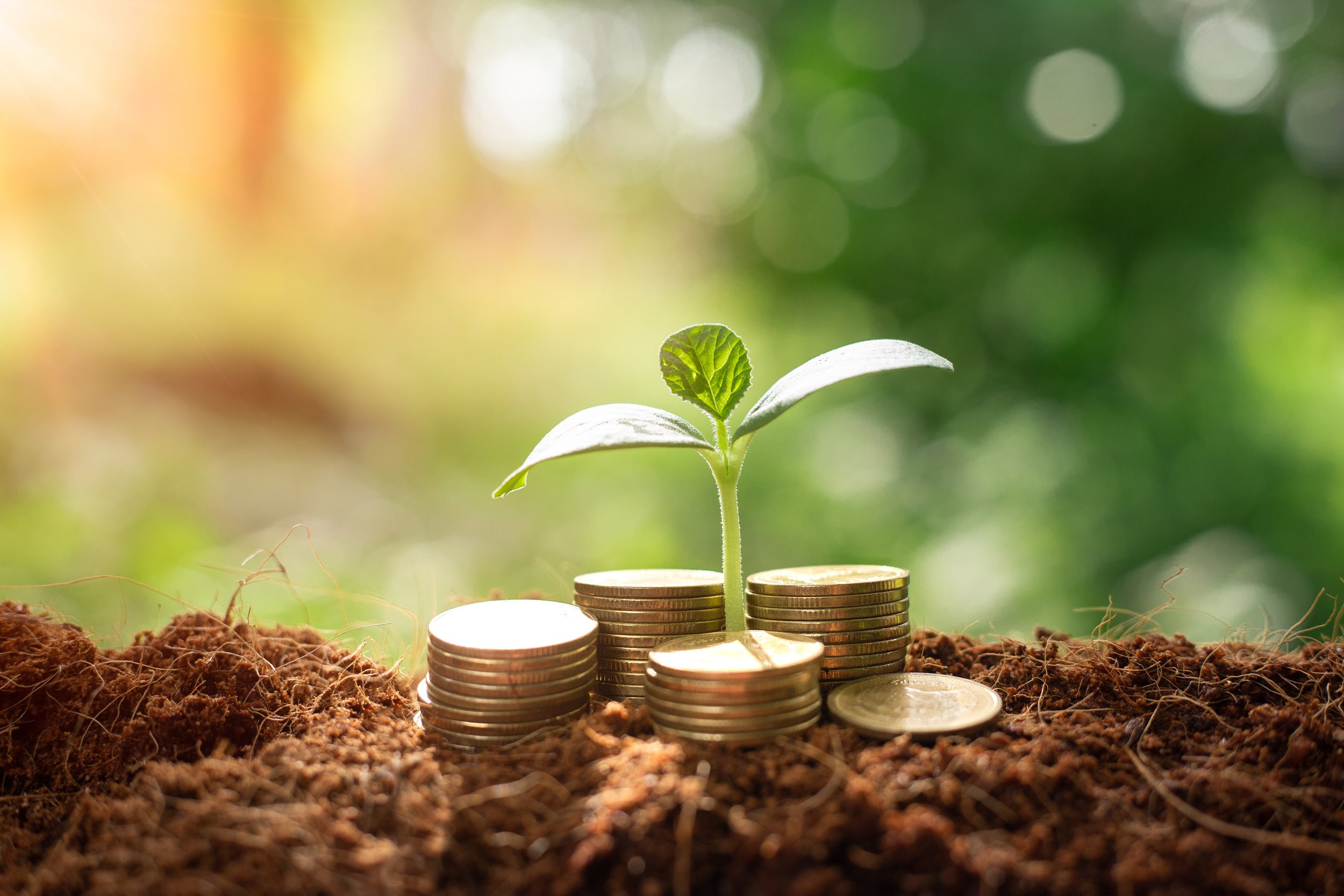 Financial planning growth plant