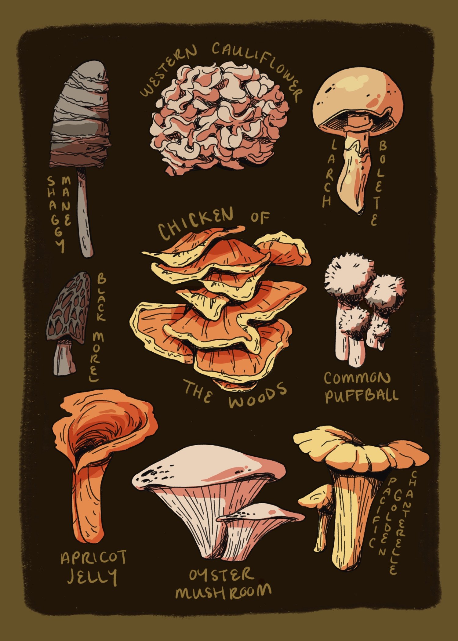 Illustration of various mushrooms labeled with their common names, including Western Cauliflower, Chicken of the Woods, Common Puffball, and Oyster Mushrooms, among others, on a dark background.