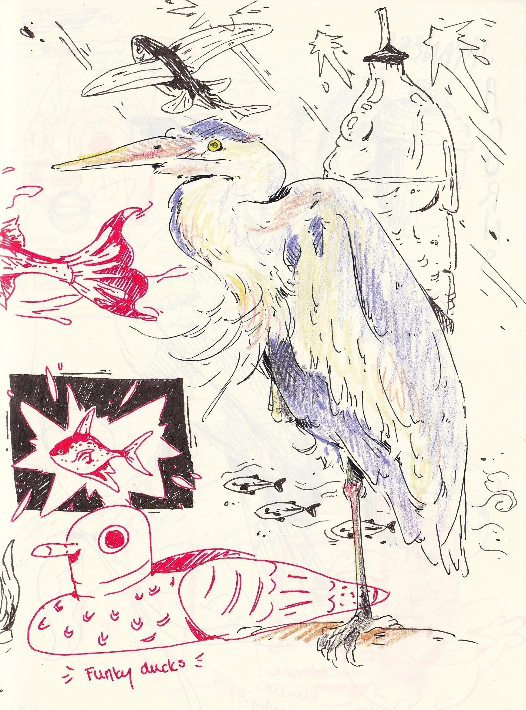 A sketch of a heron, some smaller fish, and a nordic style duck statue. The heron has some color pencil shading. The rest of the sketches are in black or red ink.