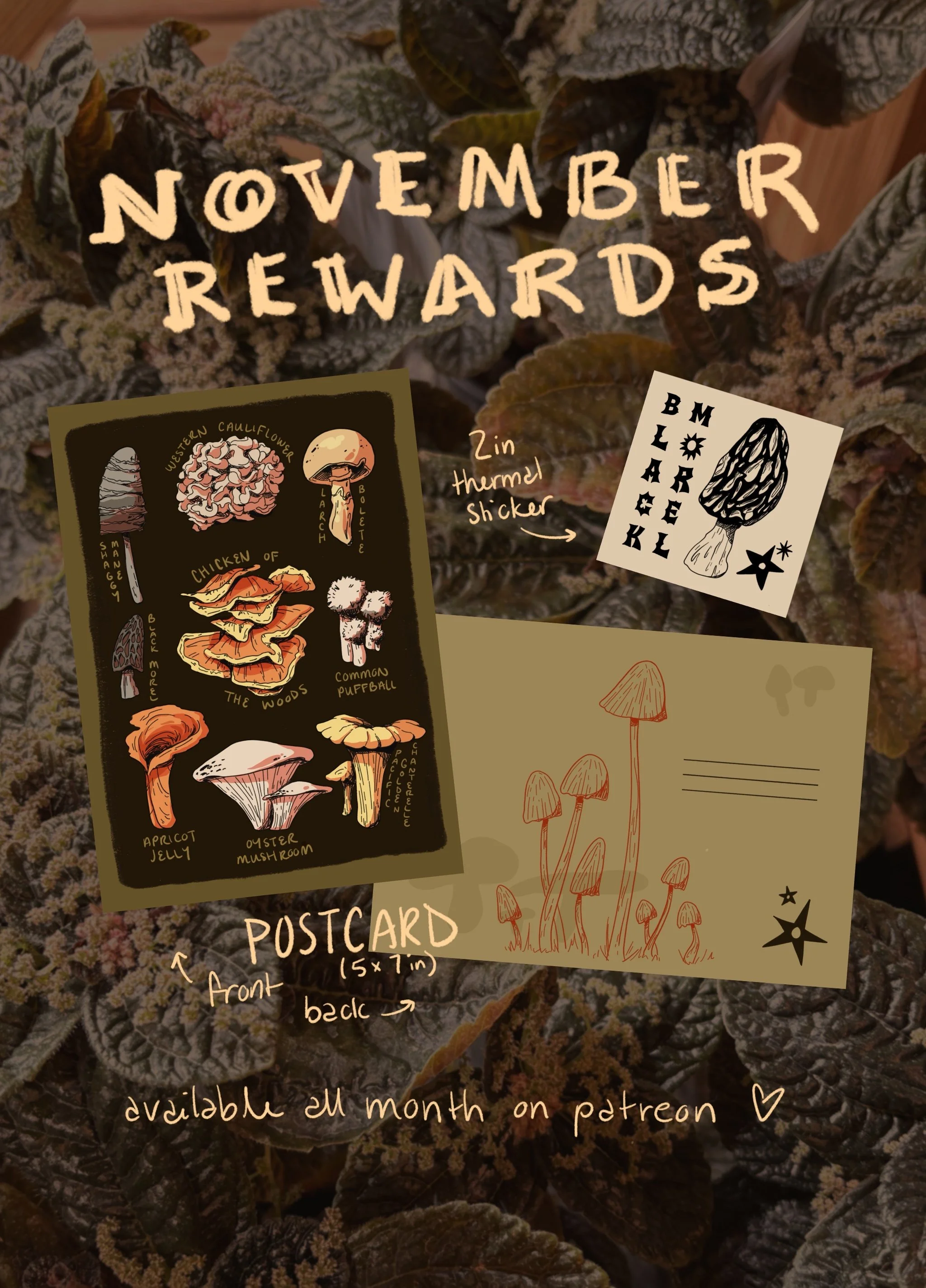 A collection of illustrated postcards about mushrooms, including a list of mushroom types like oyster mushroom, shiitake, porcini, maitake, chicken of the woods, and common puffball. The background features dark leafy greens, and there are handwritte