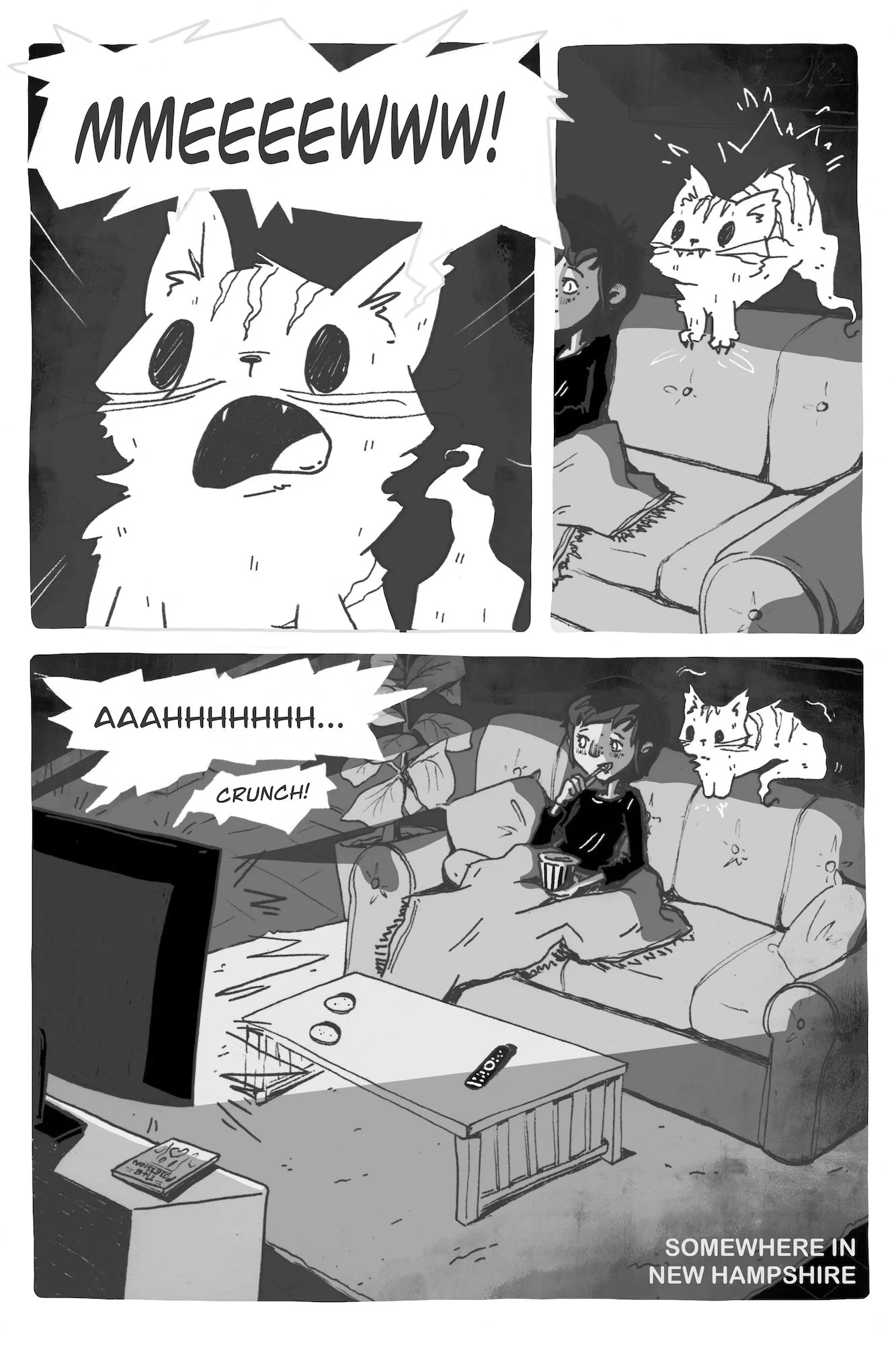A black-and-white comic-style illustration showing a cat and a woman watching television in a living room. The cat appears startled and is shouting 'MMEEWWW!' while the woman looks surprised. A second panel shows the woman and the cat sitting on a co
