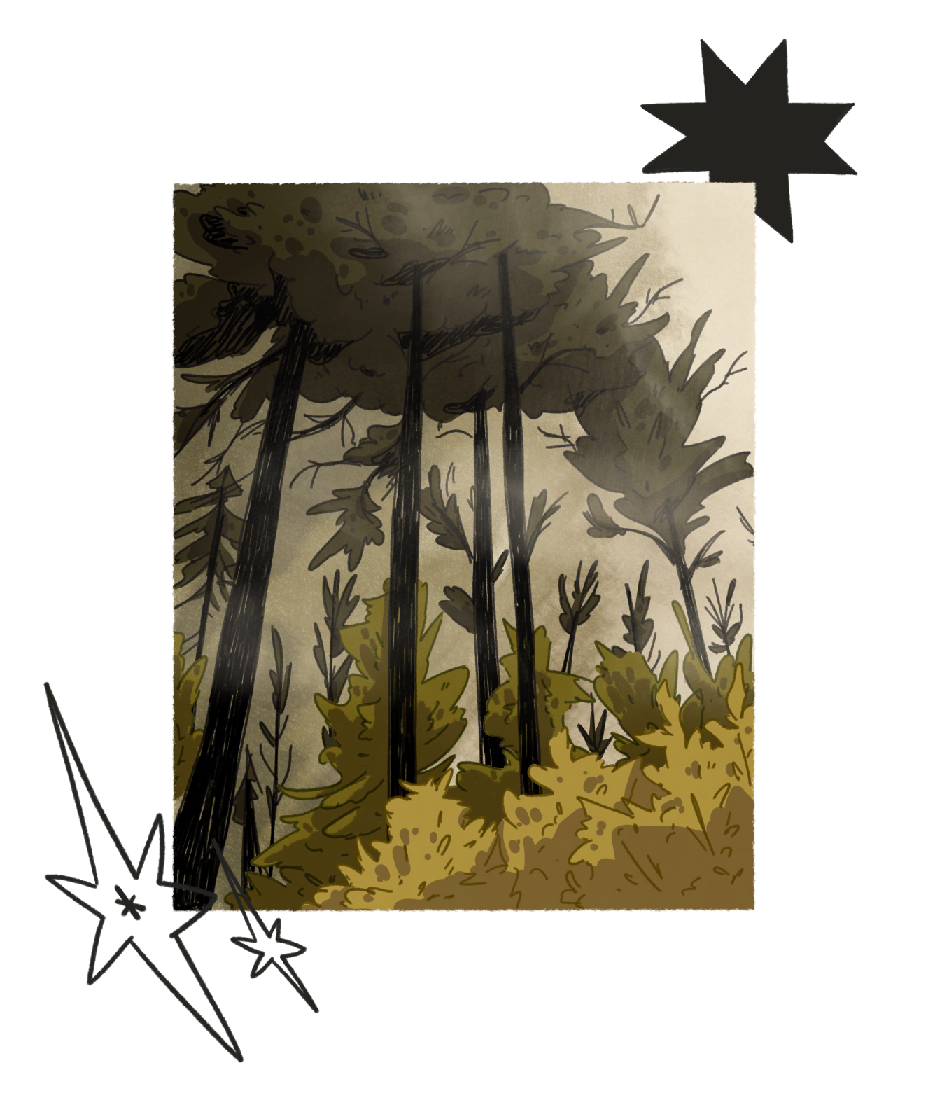 Illustration of tall trees with dark green leaves and yellowish-green bushes at the base, set against a foggy background.