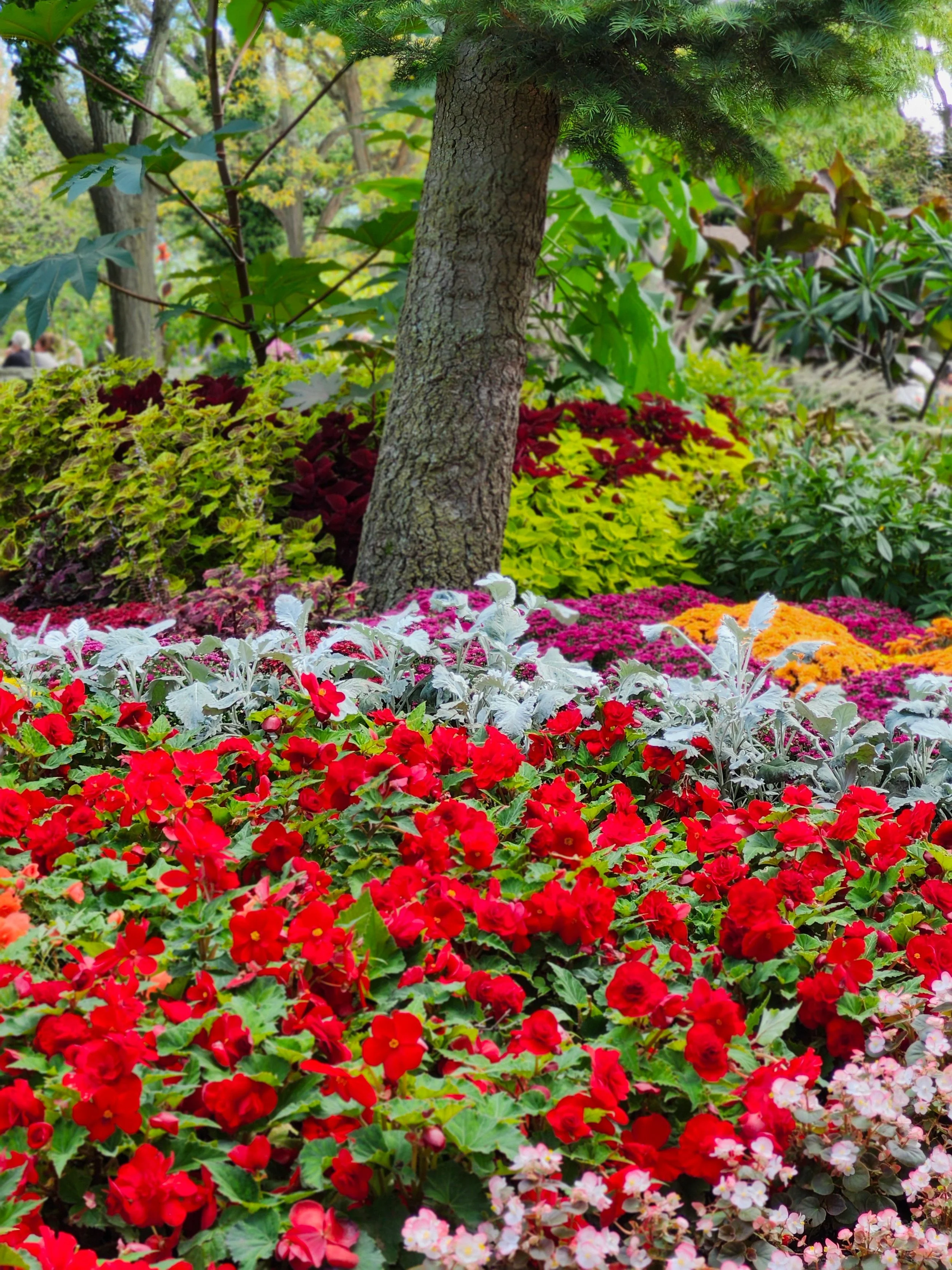 flowers 2.jpg
