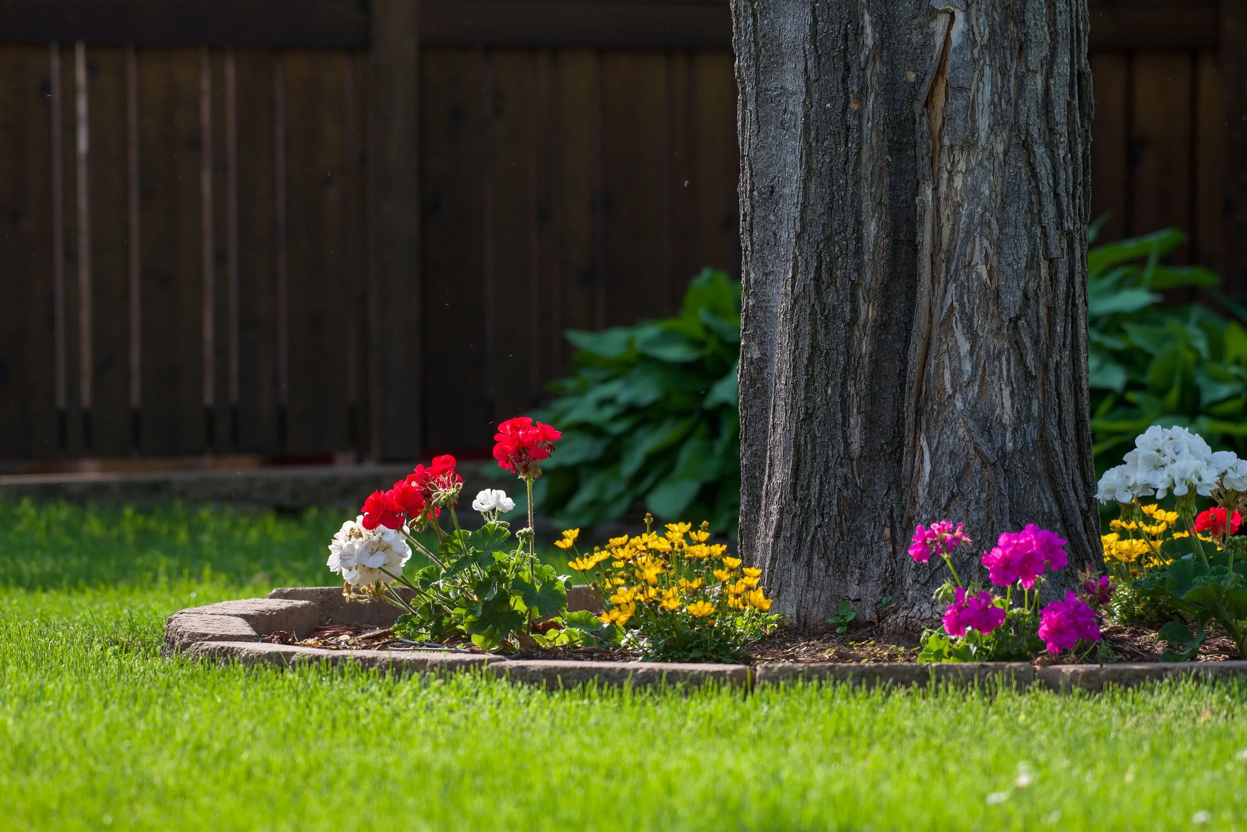 Garden Installs