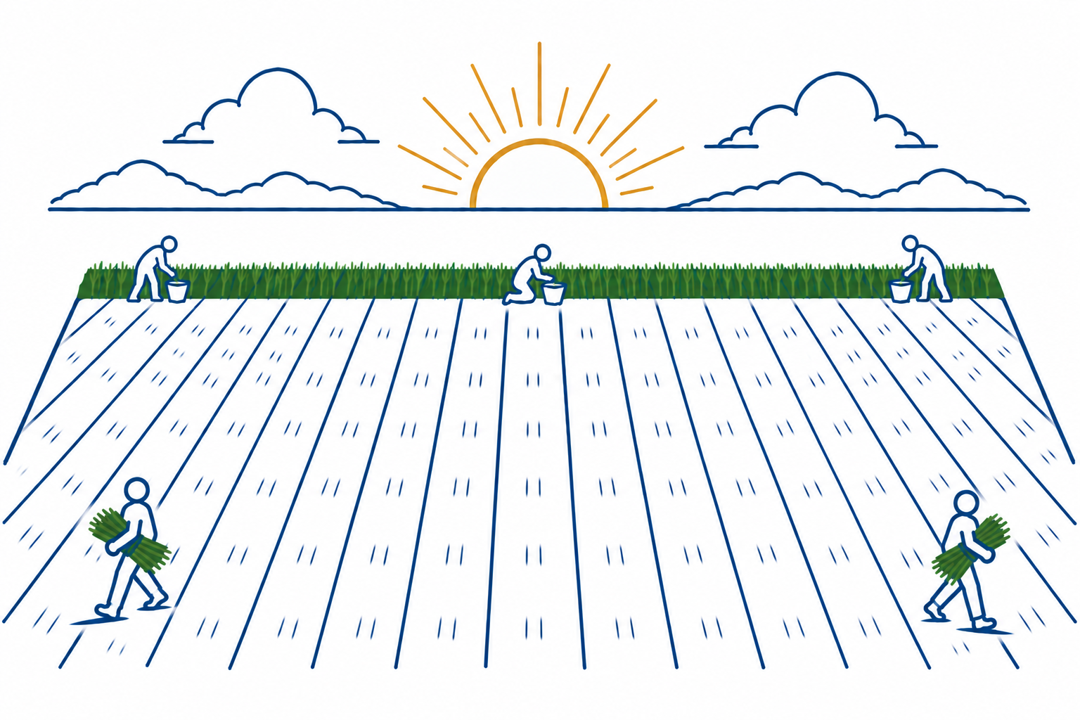 An illustration of Pe'ah, the ancient practice of intentionally leaving part of a harvested field for others to gather, representing the idea of intentional generosity behind Unreaped Corners.