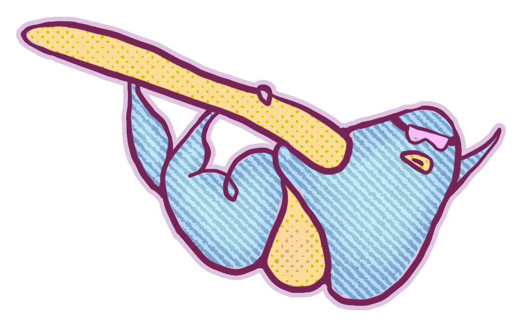 Snowboard PIle 3_TNS.png