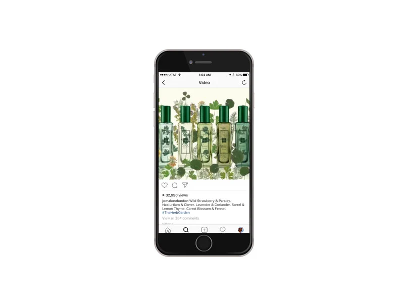 Herb-Garden-Pages-for-Website-instagram.jpg