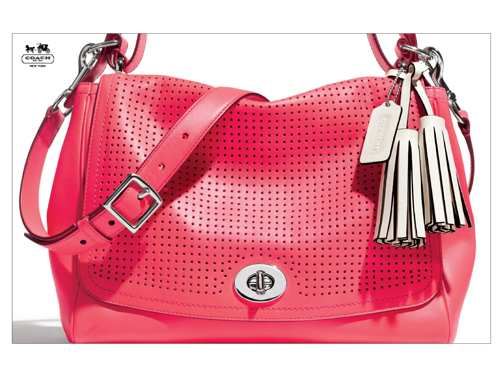 Coach studded bag test.jpg
