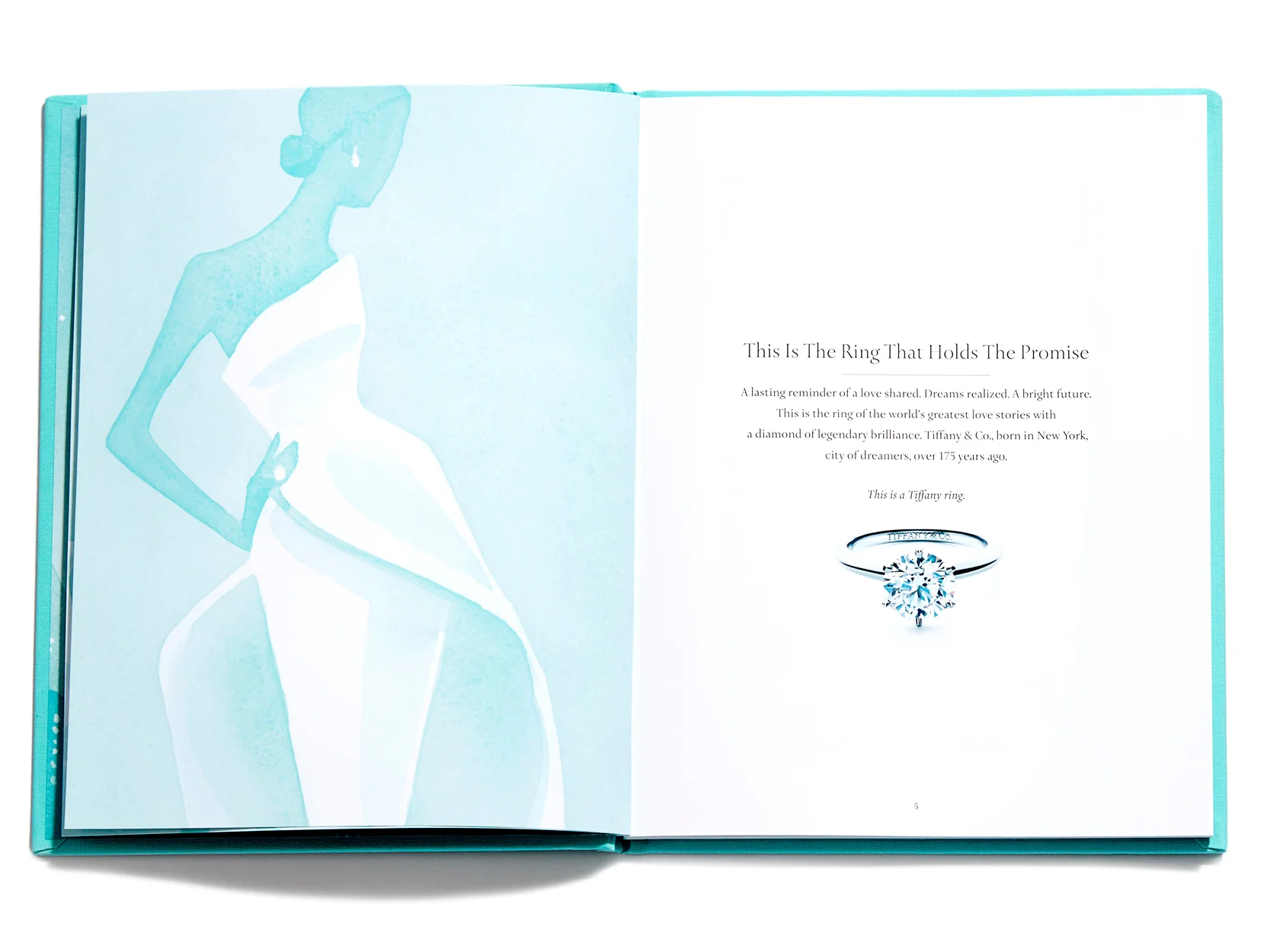 Tiffany Scroll21.jpg