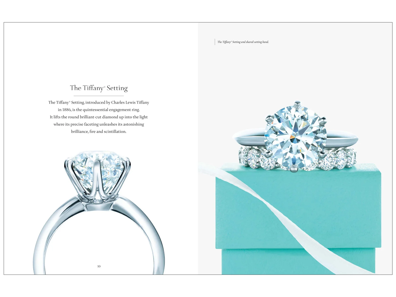 Tiffany Scroll24.jpg