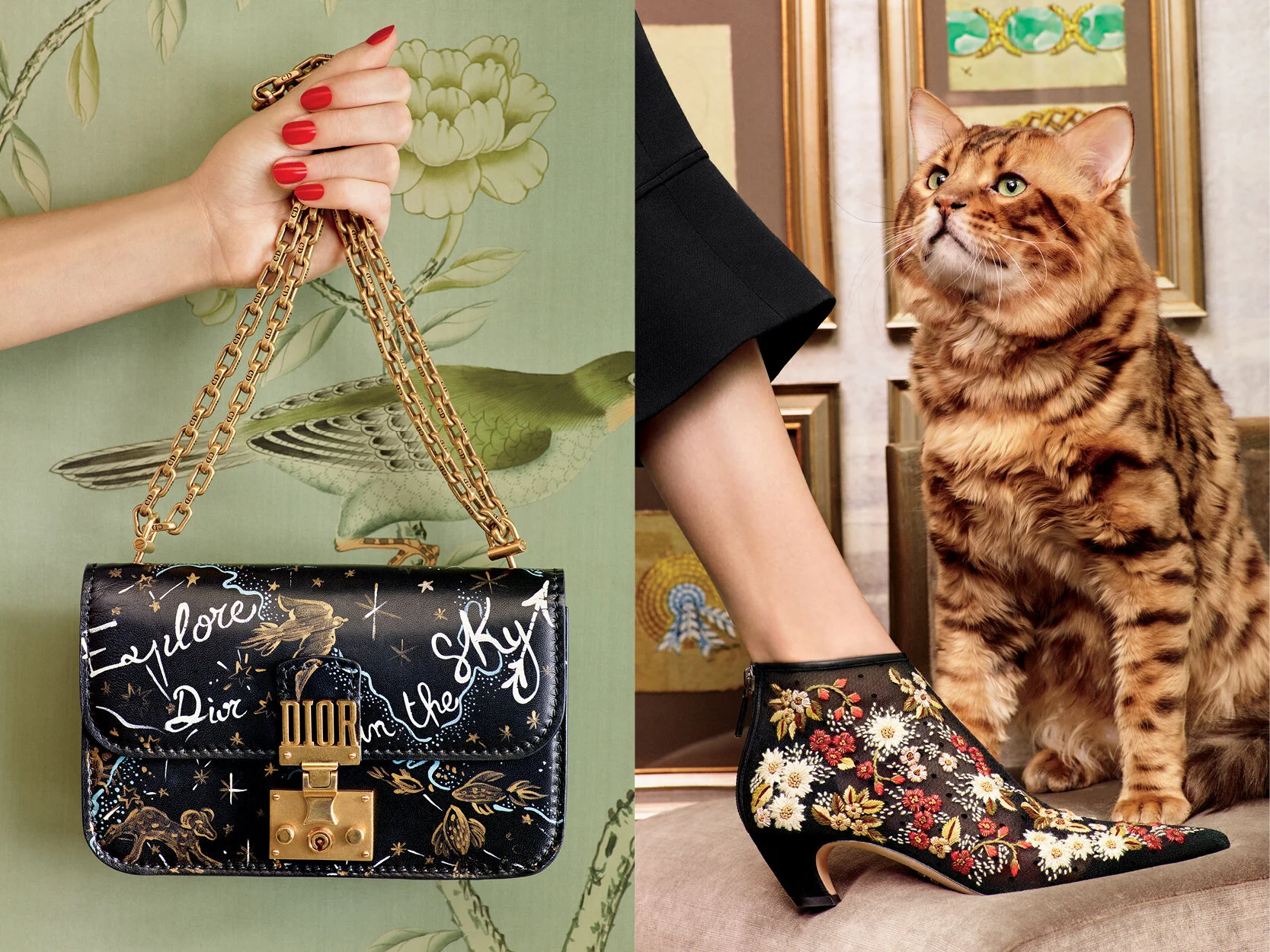 Bergdorf Cover test.jpg