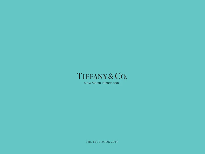Blue-Book-Pages-for-Website2014cover.jpg