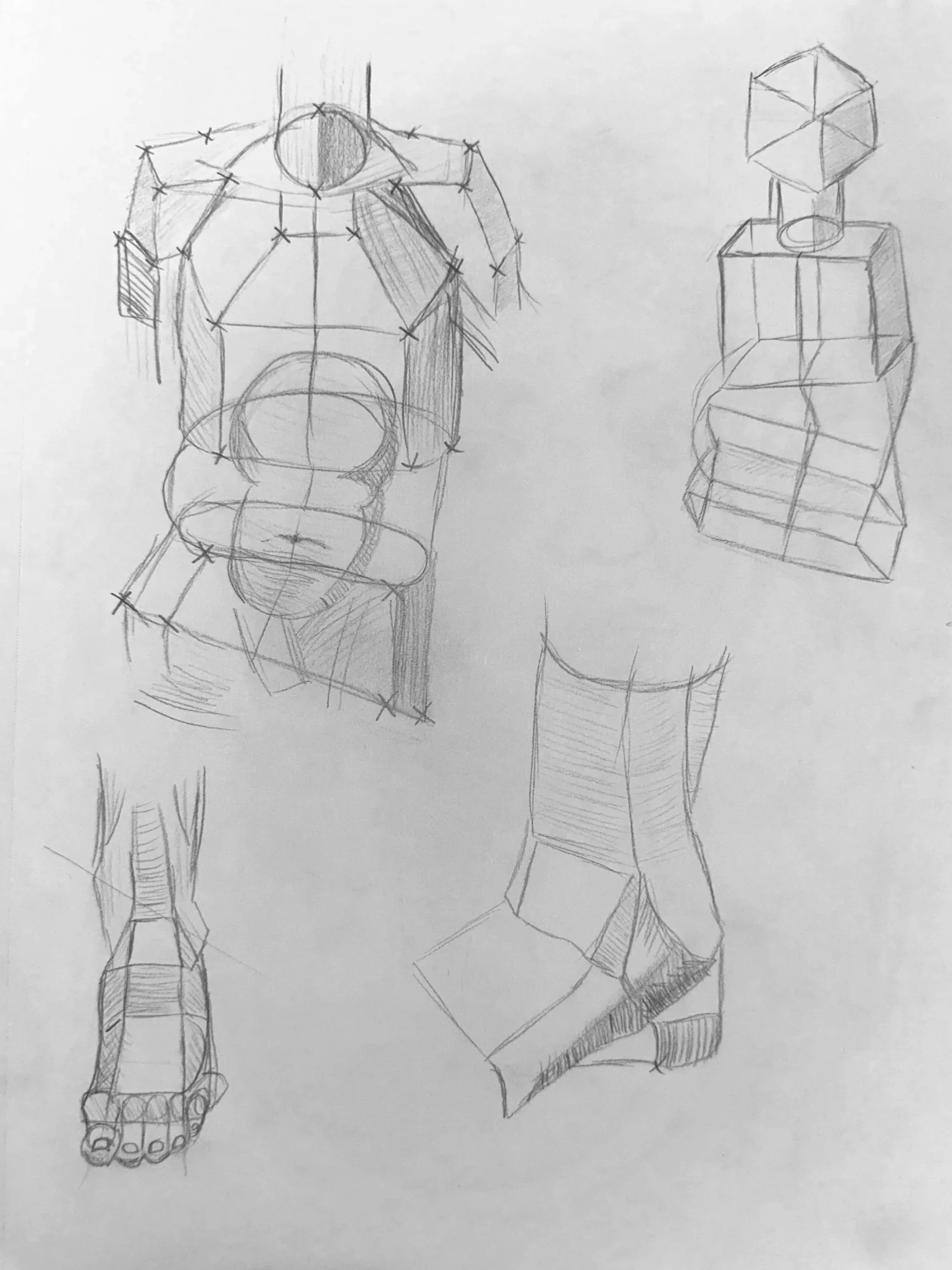 Anatomy Sketches | Graphite | 2026 | 9 x 12 in