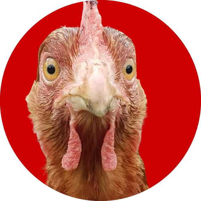 30 copy 5.png