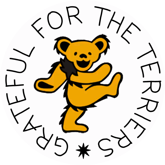 Grateful Bears Pin
