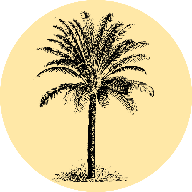 3 copy 4.png