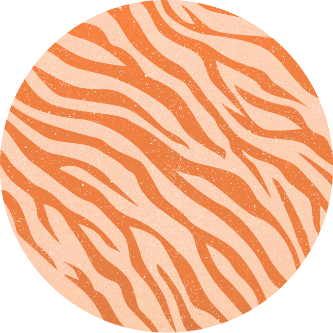 Orange Tiger Print Pin