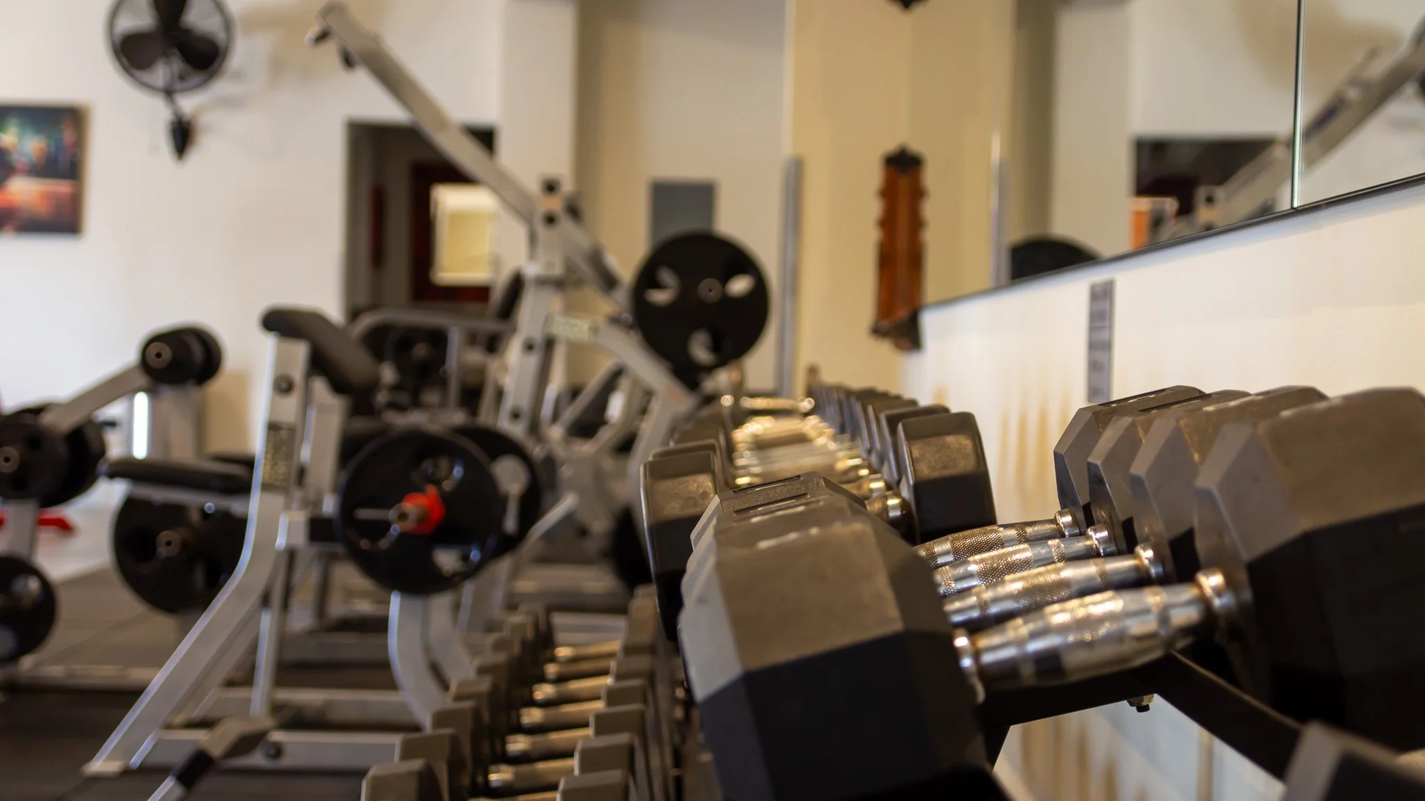 A row of dumbbells on a rack in a gym, with additional workout equipment in the background.
