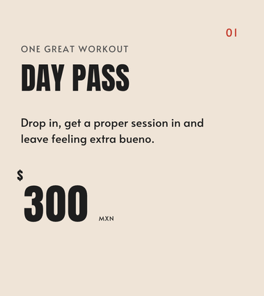 A promotional flyer for a workout day pass costing 300 Mexican pesos, with text encouraging proper sessions and feeling good.