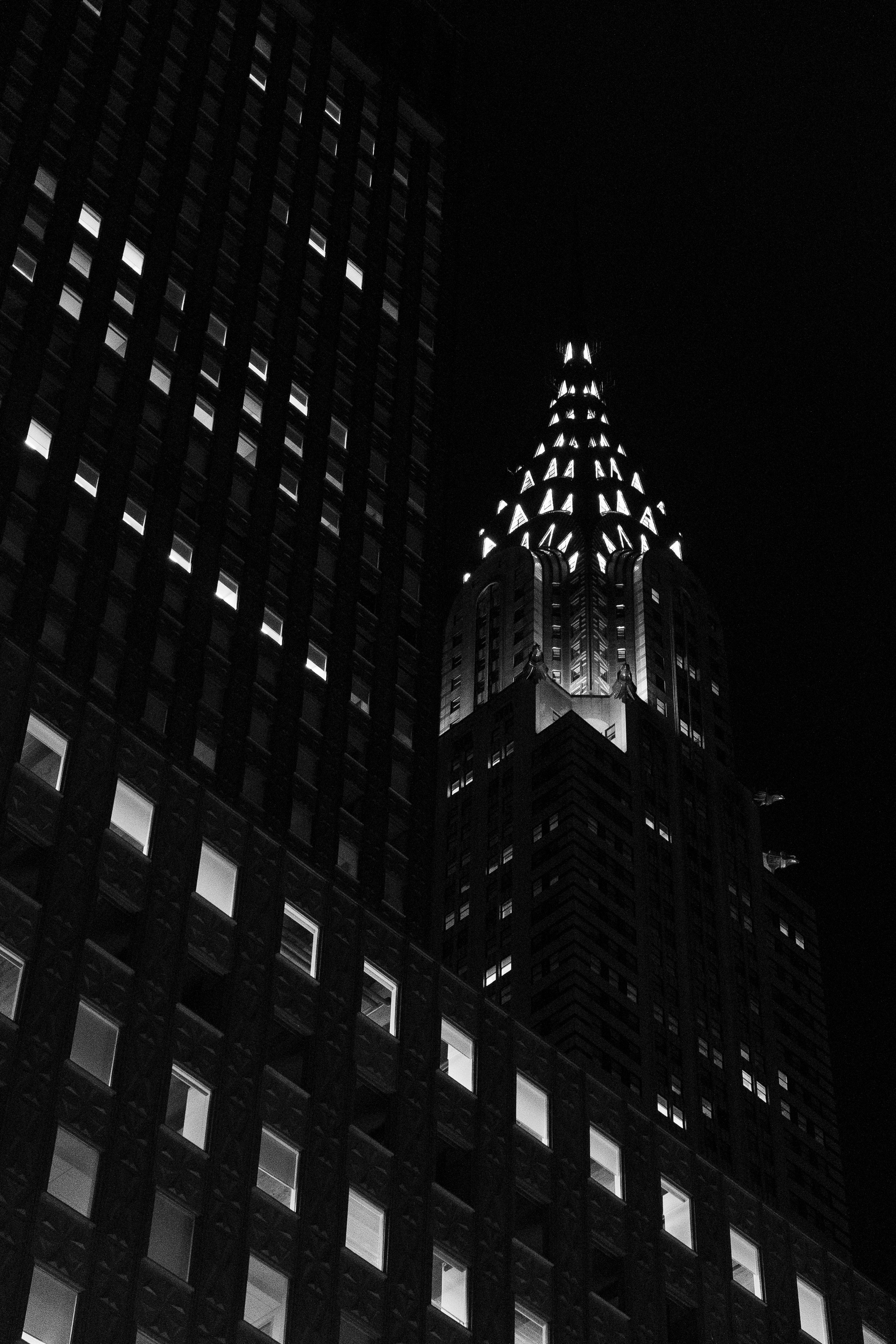DSC03257.jpg
