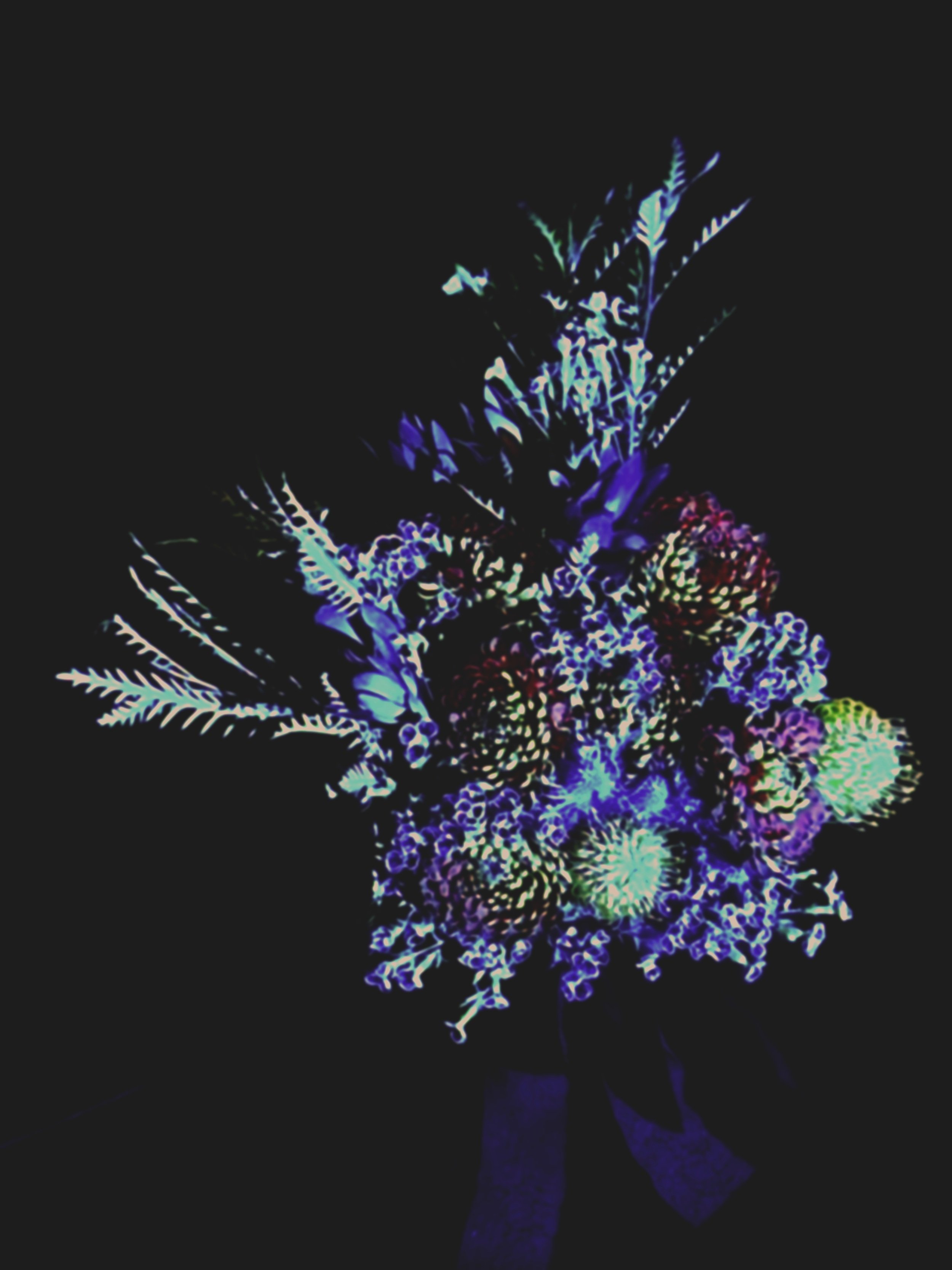 Colorful, illuminated floral arrangement against a dark background.