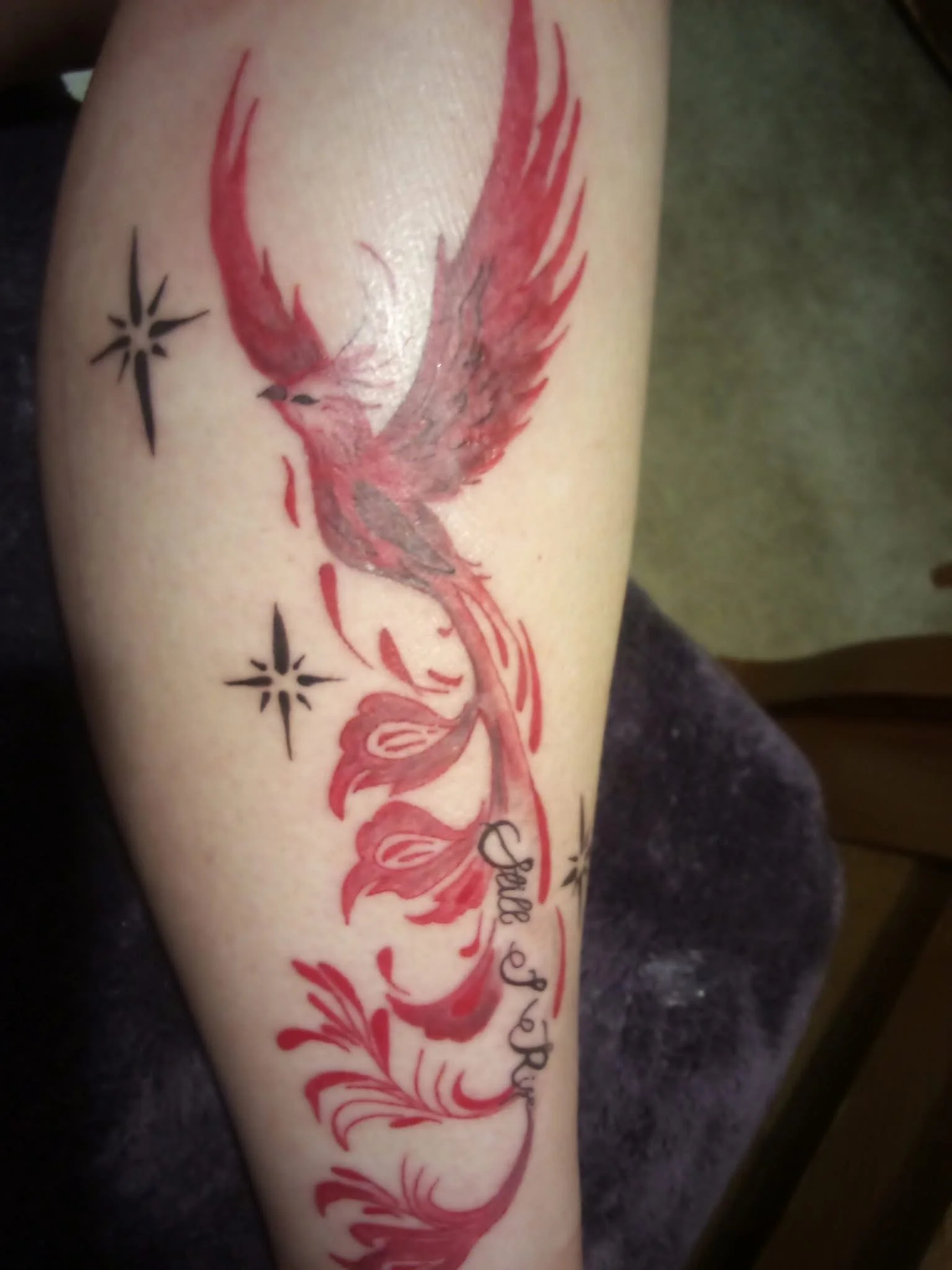 Tattoo of a red phoenix with black accents and stars on a person's arm.