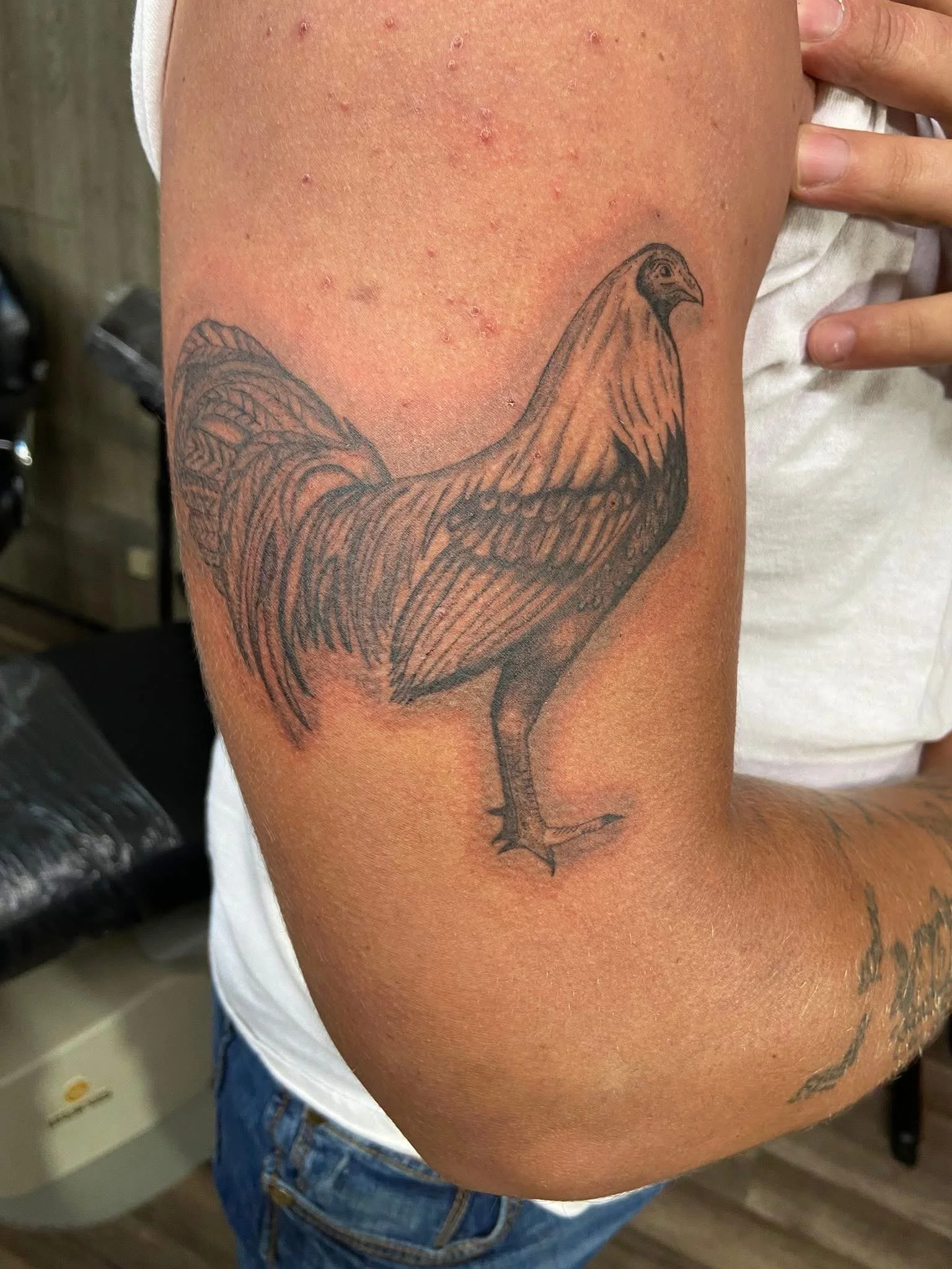 A tattoo of a rooster on a person's upper arm.