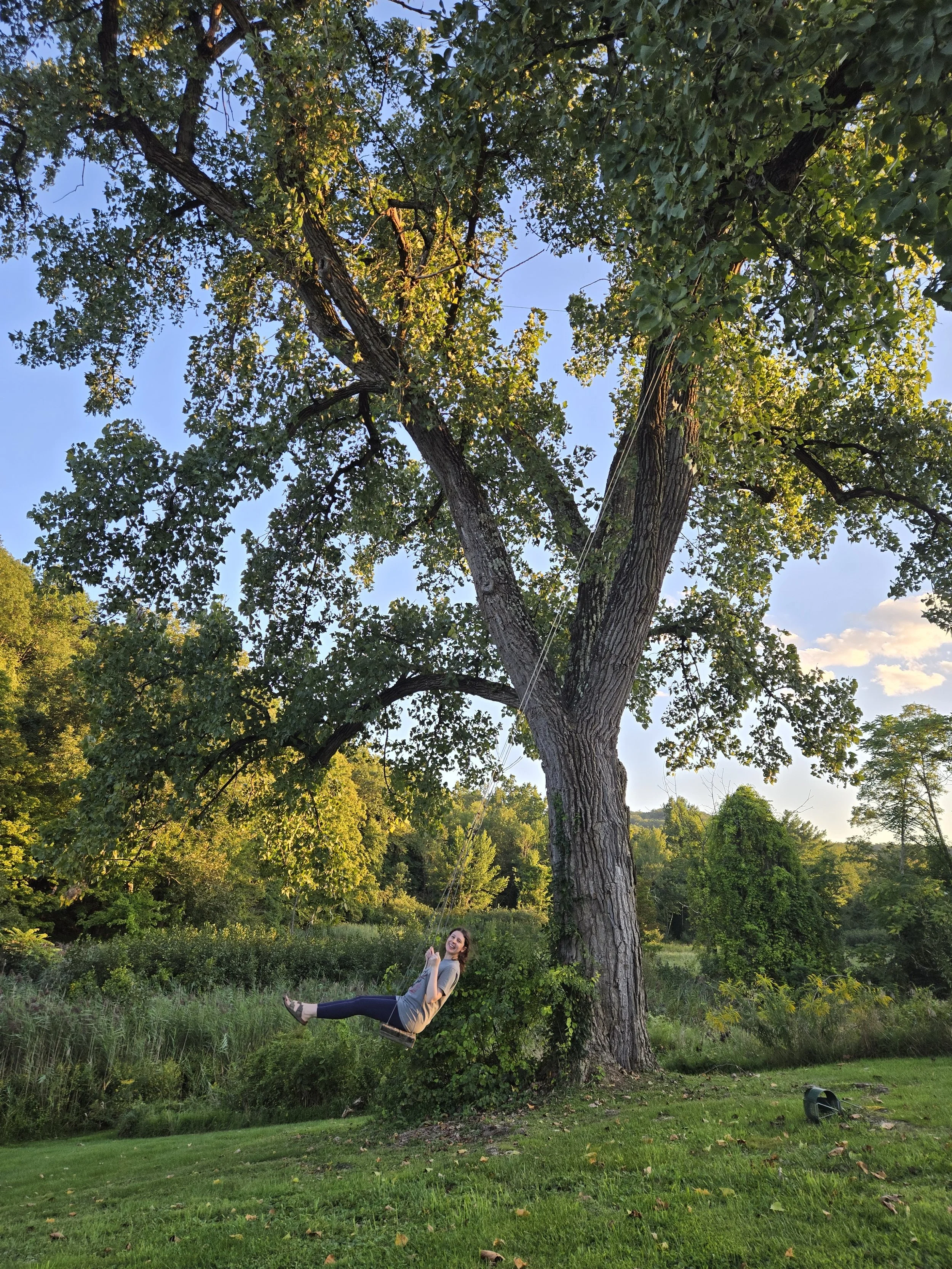 A woman sitting on a swing hanging from a large tree in a grassy clearing during sunset. The sky is partly cloudy and there are other trees in the background.