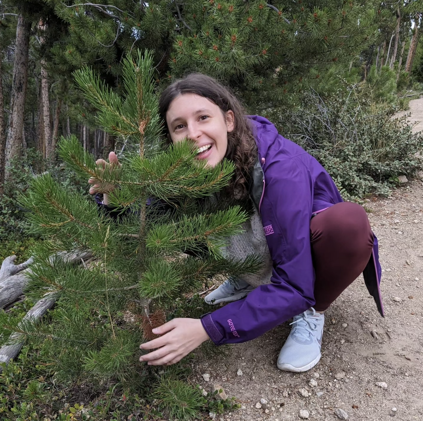 A woman with curly brown hair, wearing a purple jacket and brown pants, is crouching and smiling next to a small pine tree in a forested area.