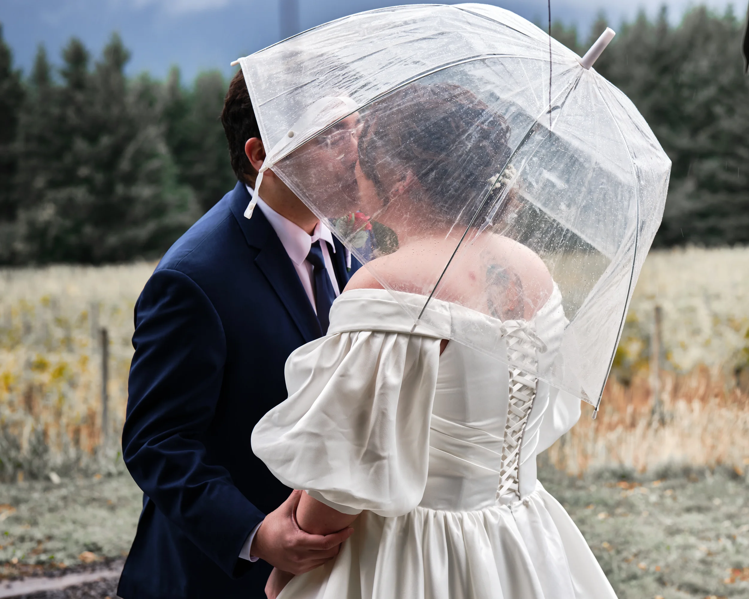 A couple, dressed in wedding attire, sharing a kiss under a clear umbrella outdoors during rainy weather. The groom is wearing a dark suit, and the bride is in a white gown. They are standing in a field with a blurred background of trees and mountain
