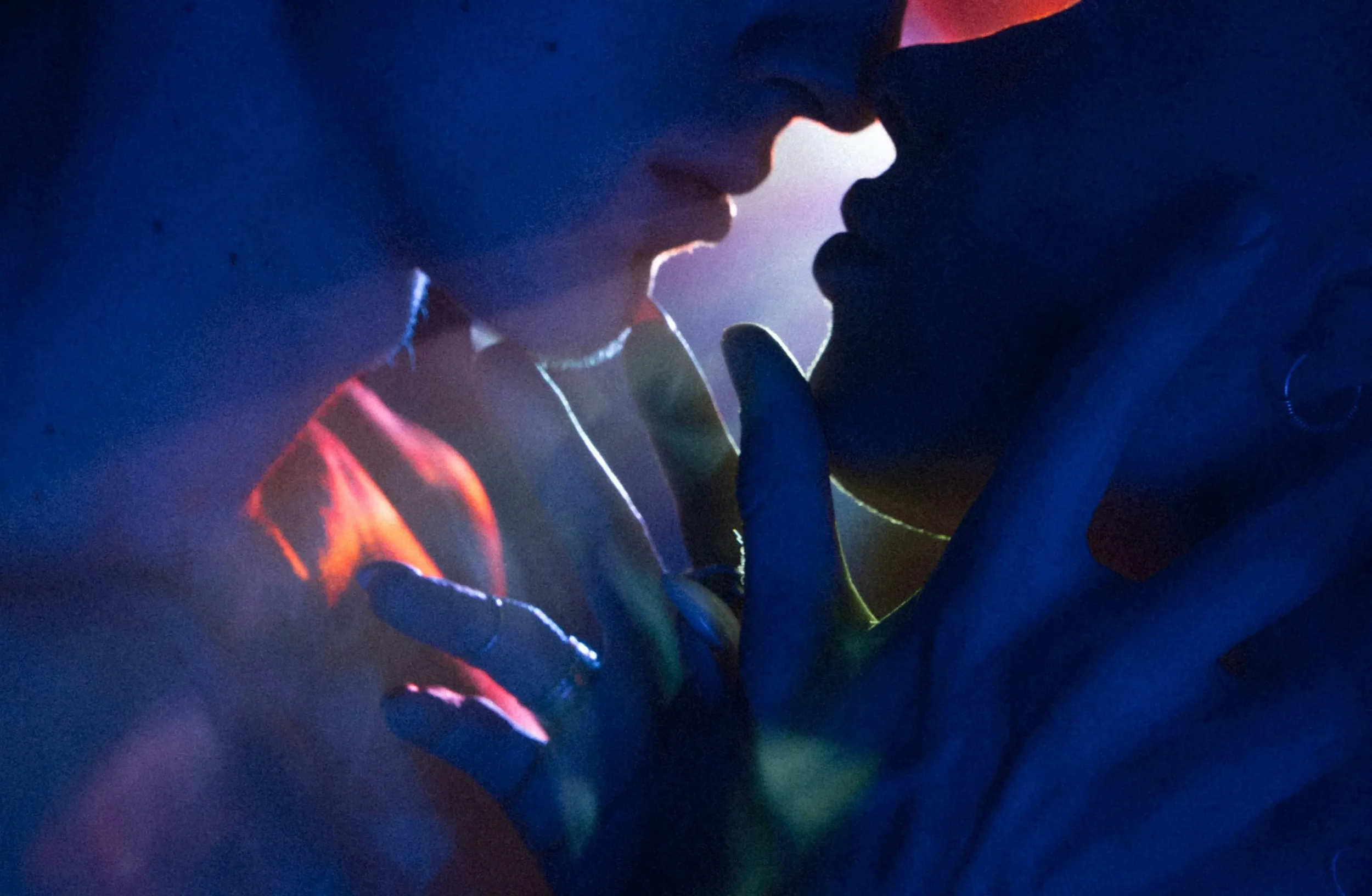 The Neurobiology of Attraction