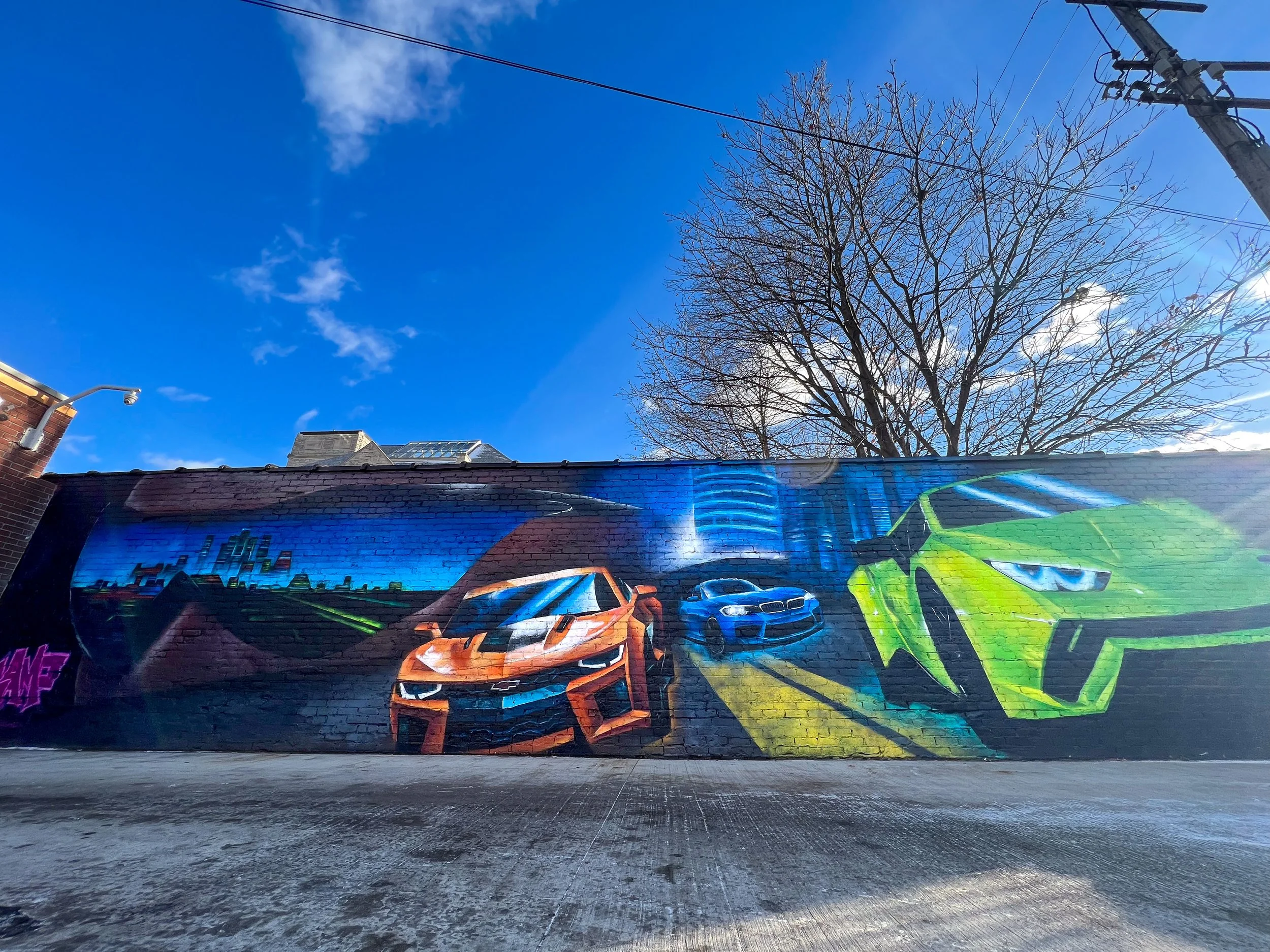 Car Sick - Celebrity Car Wash, Detroit