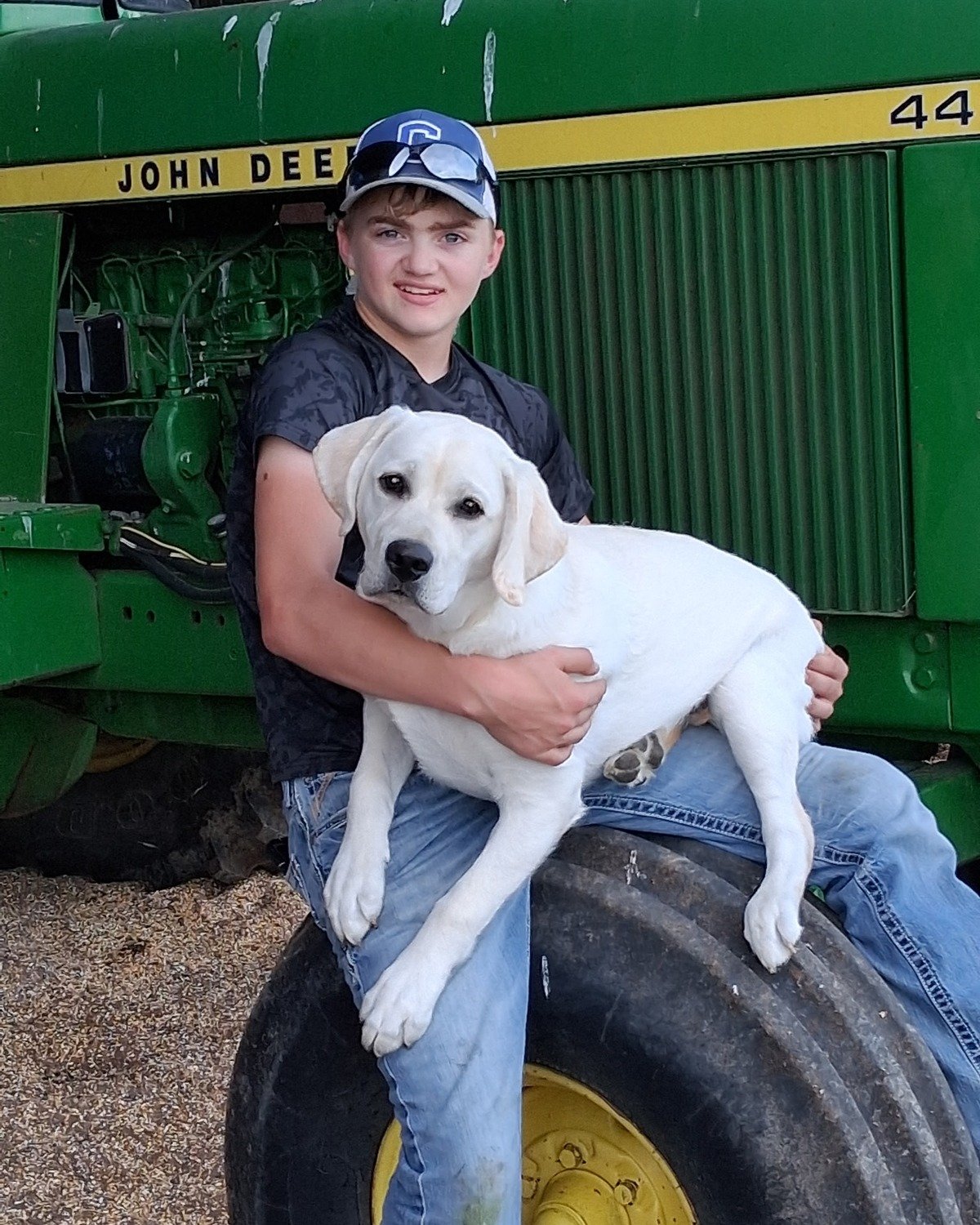 Yellow Labrador Retriever puppy from a previous Summer's End Labradors litter being held beside a tractor on the family farm.