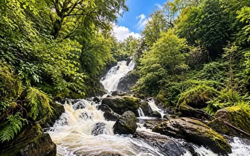 Torc Waterfall in Killarney National Park tumbles through mossy woodland, offering a scenic stop surrounded by leafy trails and the sounds of flowing water.