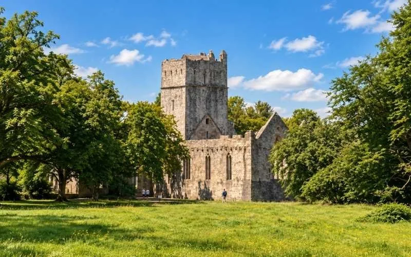 Muckross Abbey in Killarney National Park offers a peaceful glimpse into Kerry’s past, with historic stone ruins surrounded by mature trees and green woodland.