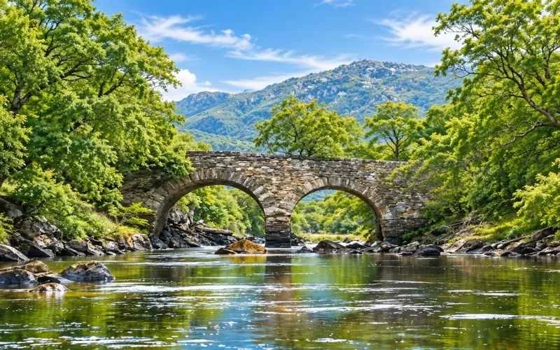 Killarney National Park combines lakes, mountains and mature woodland, offering a rich variety of scenery alongside historic buildings and peaceful places to pause and explore.