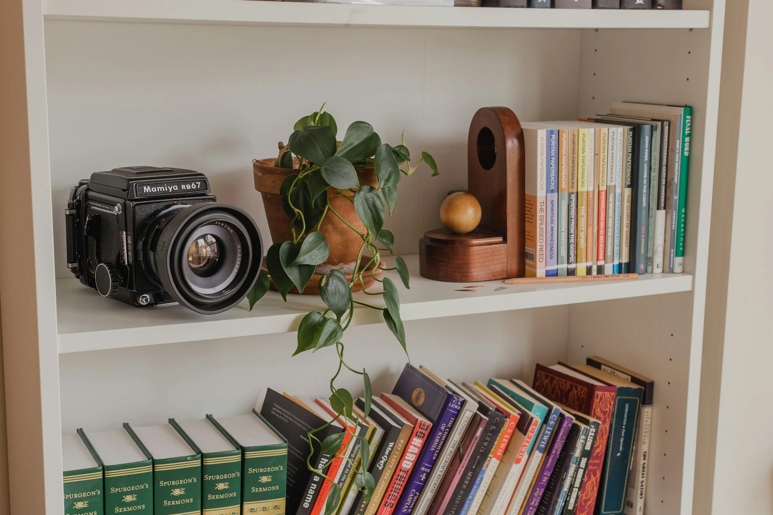 Shelf with a vintage camera, potted plant, bookends, and books.