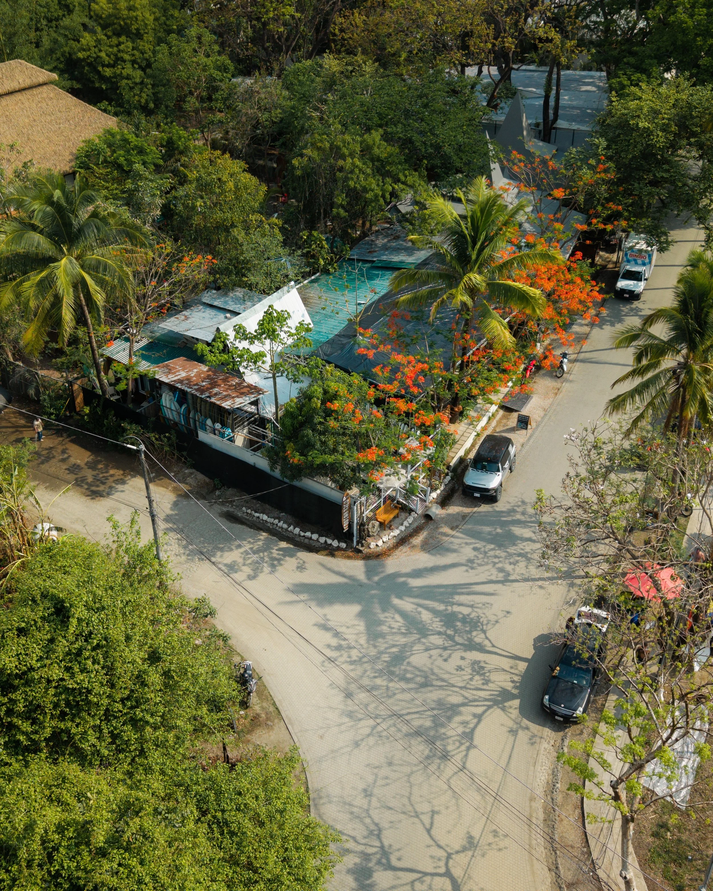 An aerial view of a street with parked cars and lush green trees lining the sides, including some with vibrant orange flowers, and a building with a thatched roof in the background.