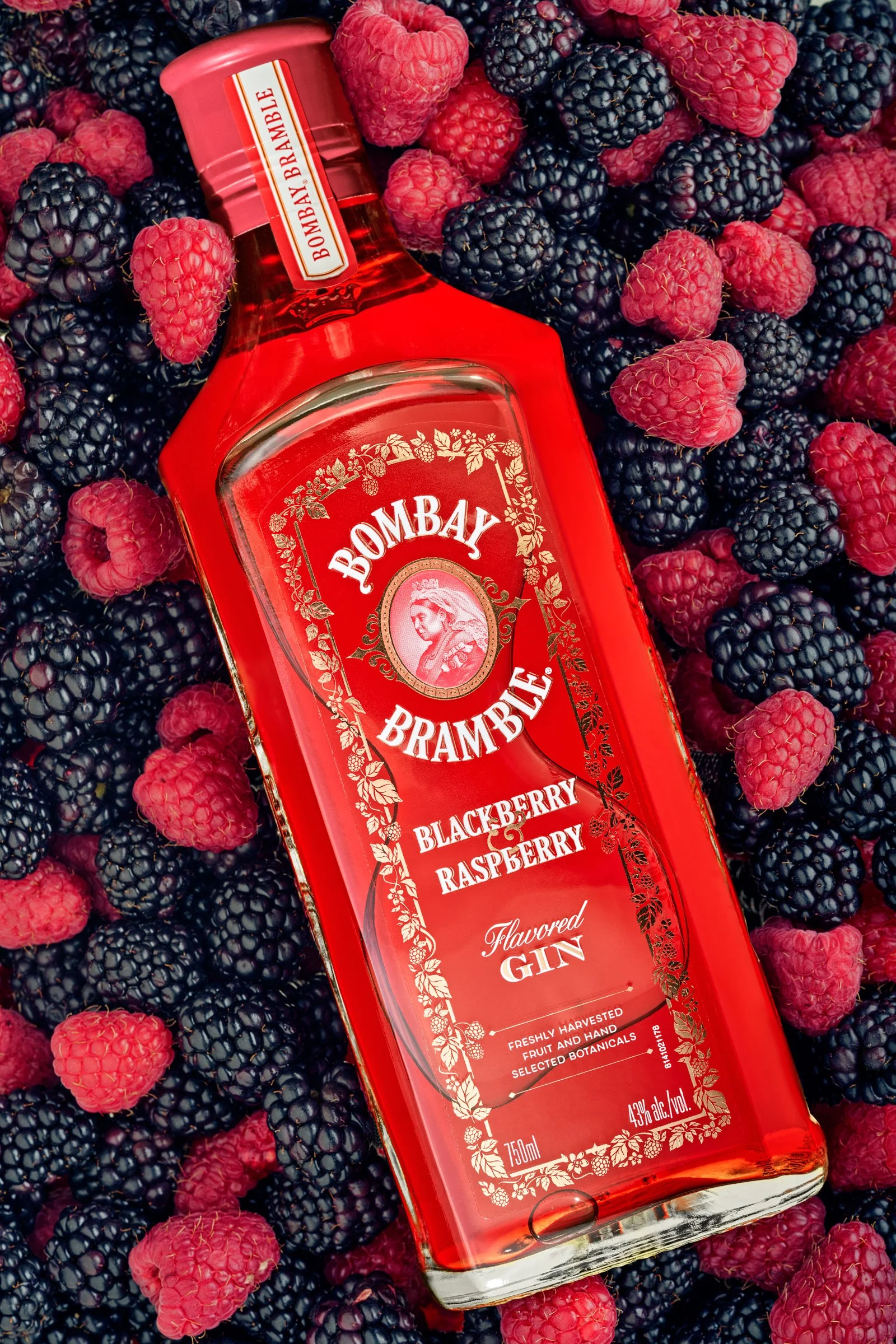 A bottle of Bombay Bramble blackberry raspberry flavored gin surrounded by fresh blackberries and raspberries.