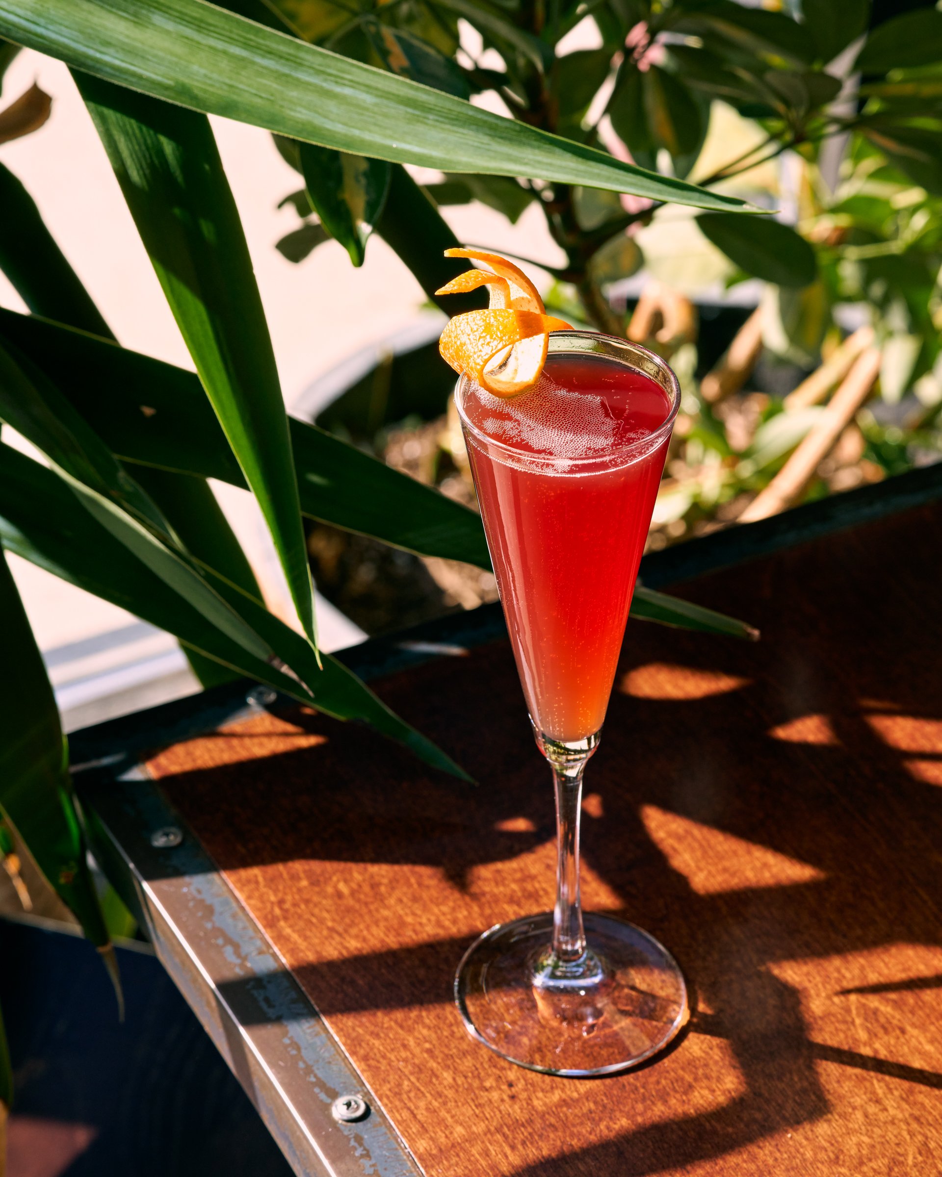A tall glass of red beverage with orange peel garnish, placed on a wooden surface outdoors, surrounded by green plants.