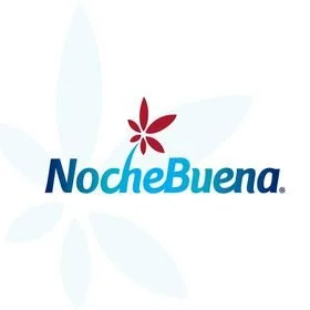 14 Noche Buena.jpg