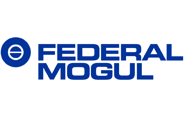 24 federal-mogul.png